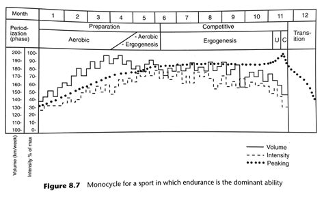 tudor bompa periodizzazione pdf|bompa periodization pdf.